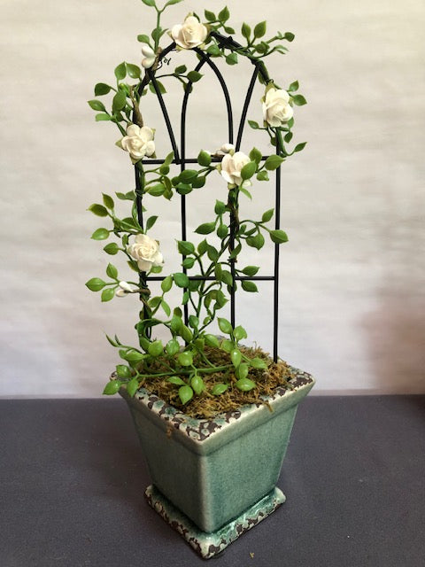 White rose trellis in square ceramic pot