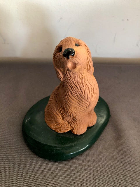 Brown Lab