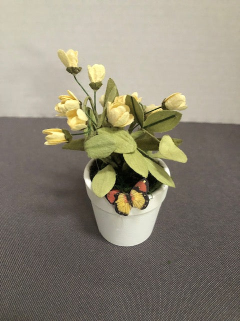 Yellow Flowering Plant