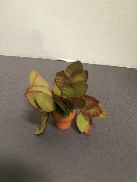 Potted Plant