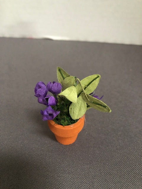 Potted Plant