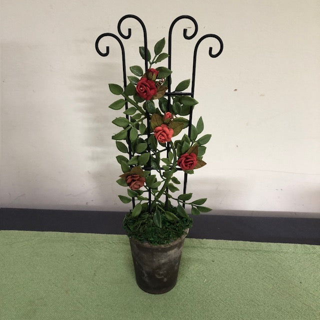 Sunset Rose Trellis in Tall Stone pot