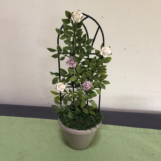 White & Lavender Rose Trellis in PP