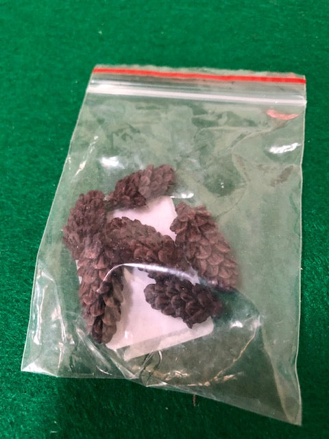 Six Pinecones