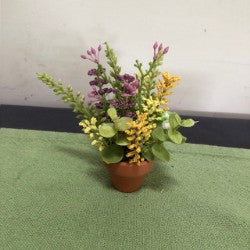 Mixed Flowers in Mini TC Pot