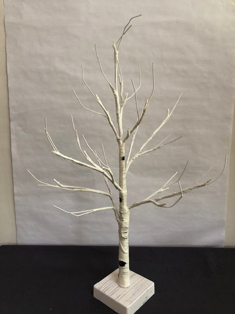 24" battery white birch