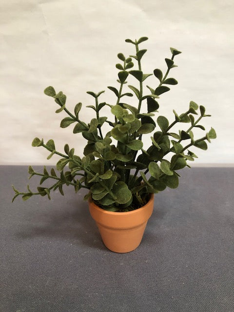 Dark Green flocked shrub in clay pot