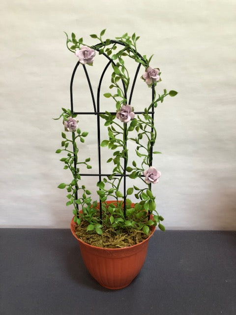 Lavendar rose trellis in square ceramic pot