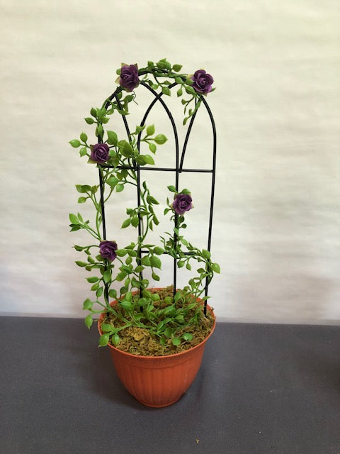 Purple Rose Trellis in plastic terracotta pot