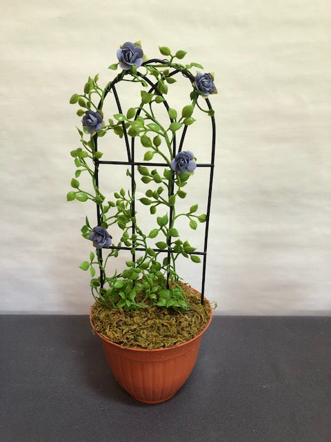 Dusty blue rose trellis in plastic terracotta pot