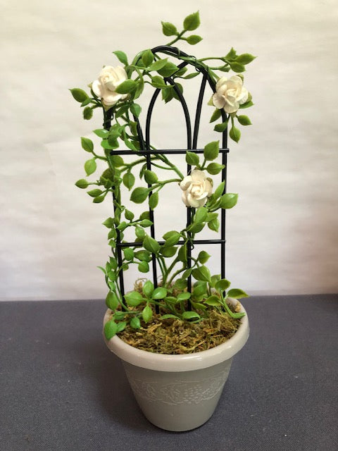 Off-white small rose trellis in plastic grey pot