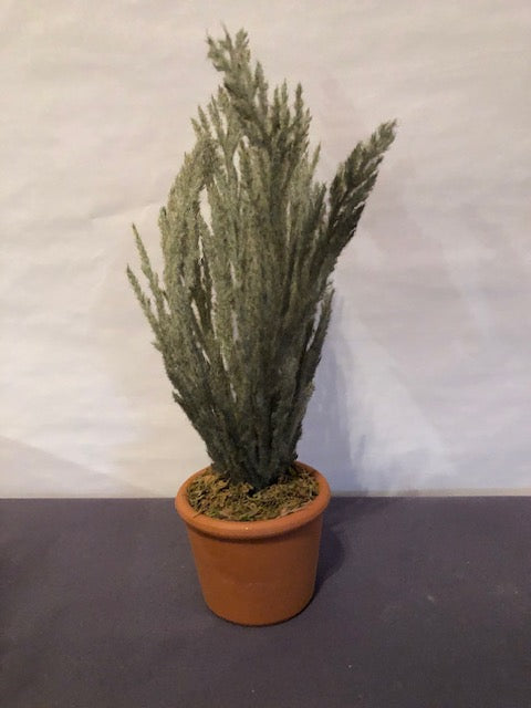 Flocked Cypress in Round Clay Pot