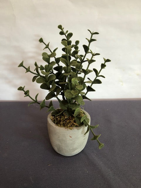 Flocked dark green shrub in round concrete pot