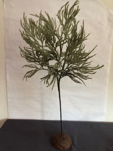 Single Willow tree with concrete base