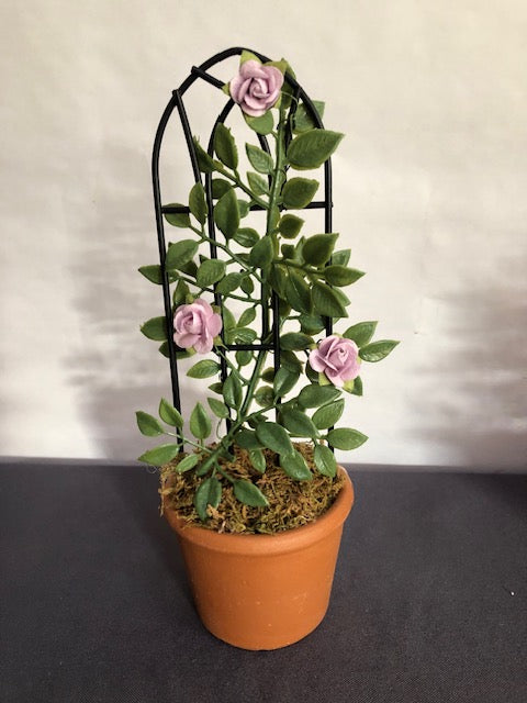 Dusty pink rose trellis in round terracotta pot