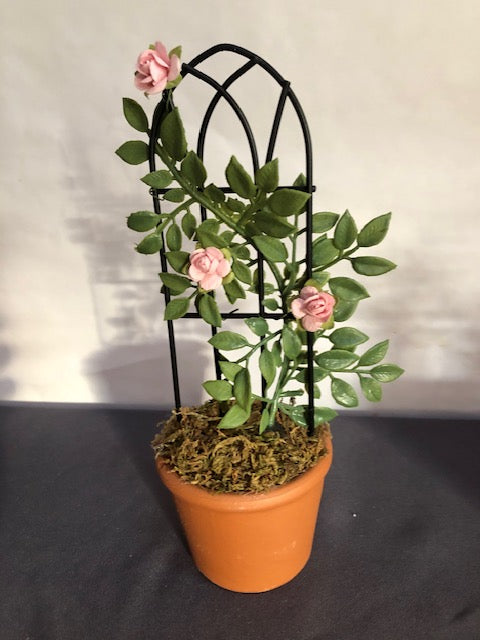 Pink rose trellis in round terracotta pot