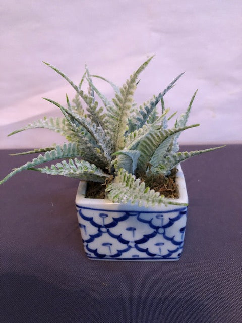 Flocked fern in blue & white china square planter pot