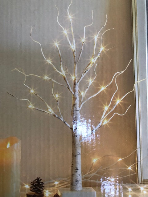 Battery Birch Tree