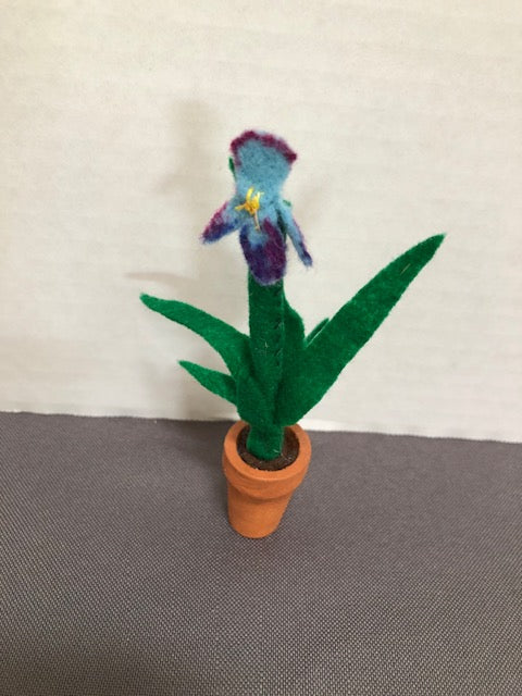 Small Blue Orchid