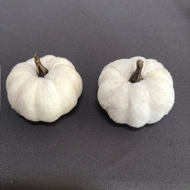 Two Plush White Pumpkins