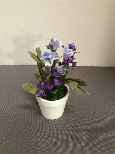 Purple Flowering Plant