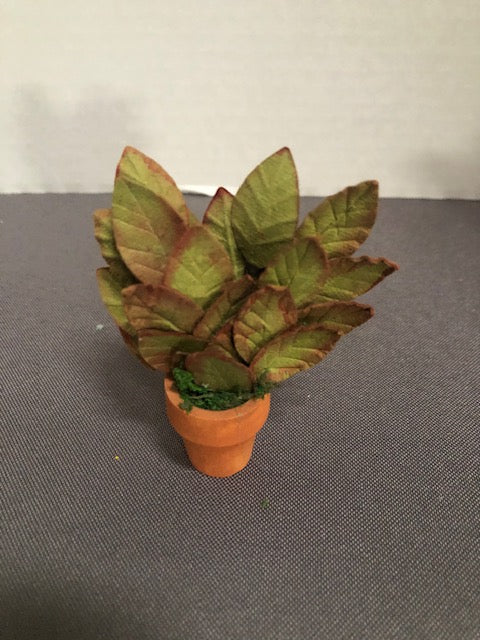 Potted Plant
