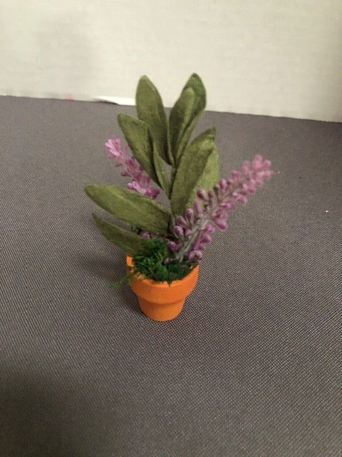 Potted Plant