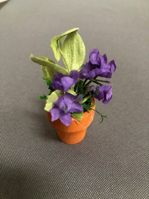 Potted Plant