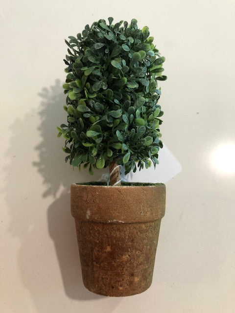 Small Potted Topiary Bush