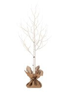 30" plug in single birch tree